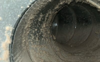 Don’t Ignore Dryer Vent Cleaning: 5 Reasons