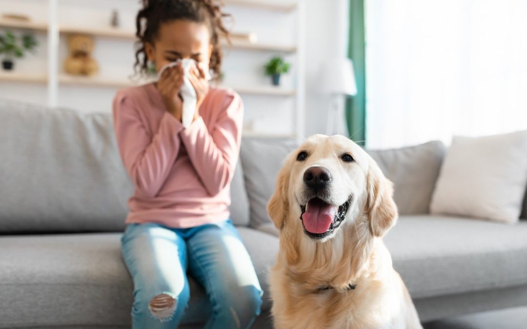 The Role of Duct Cleaning in Allergy and Asthma Relief