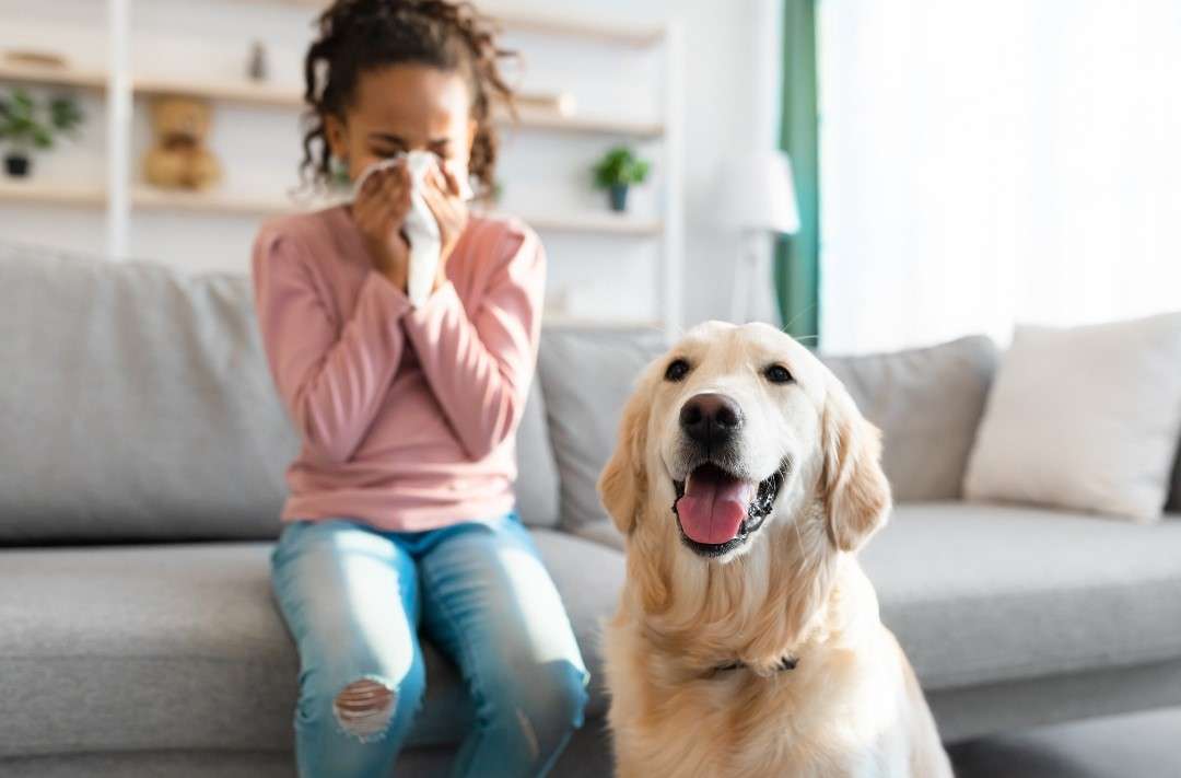 duct cleaning allergy relief