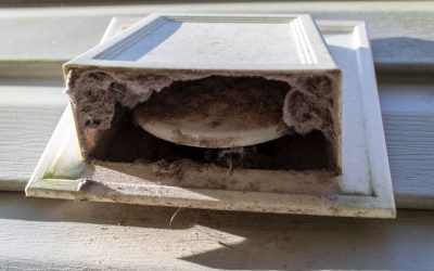 Dryer Vent Cleaning: Protecting Your Investment in Appliances
