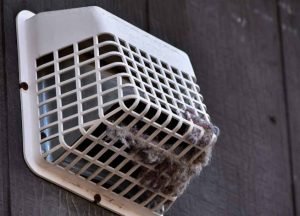 dirty dryer vent