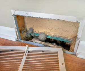 mold growth in air duct