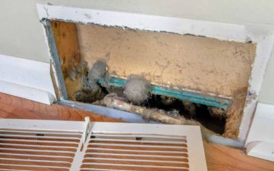 What Causes Mold in Air Ducts and How to Prevent It