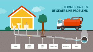 illustration showing how sewer lines can be backed up